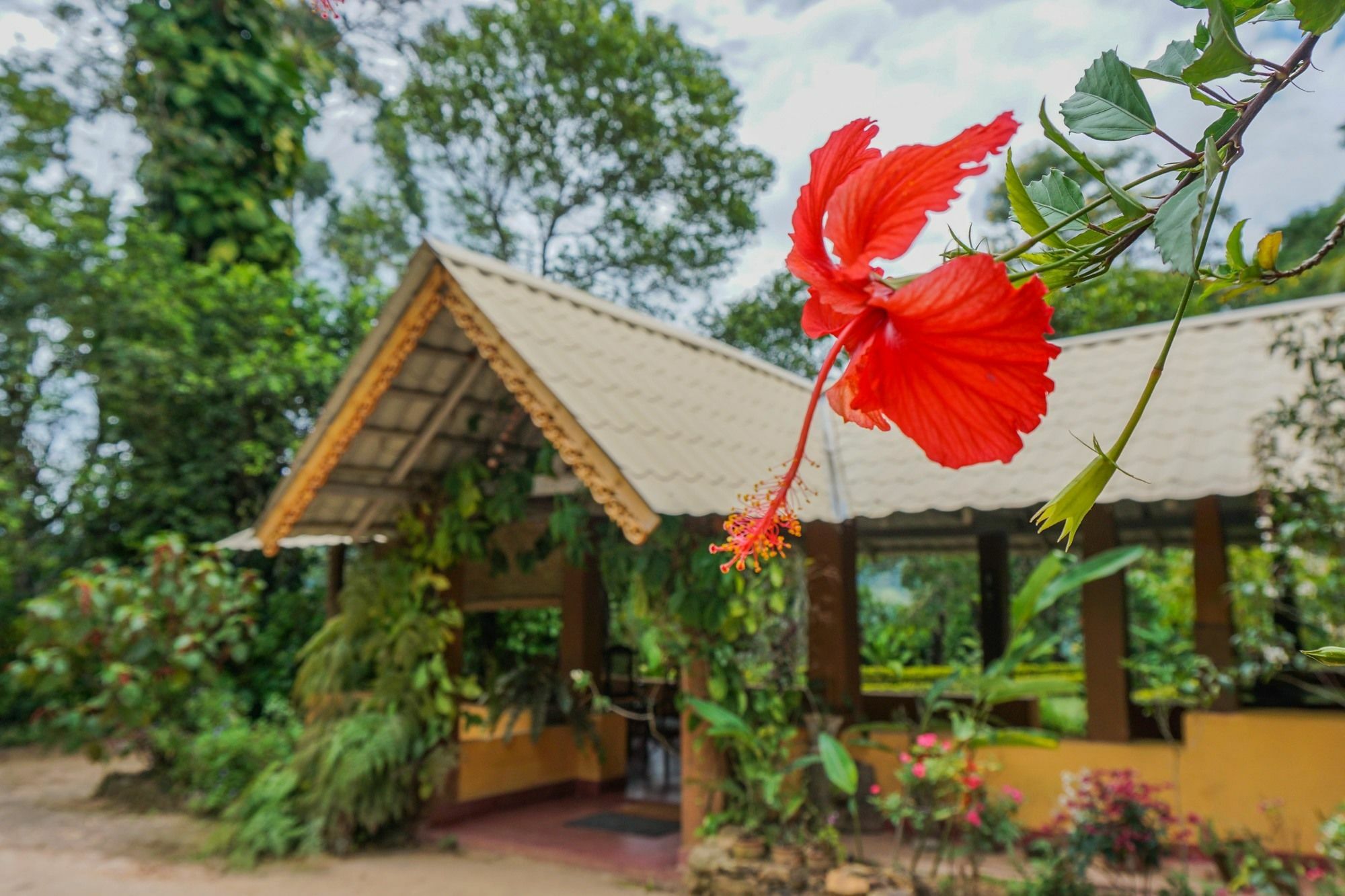 Sunnyside Holiday Bungalow Ella Exterior foto